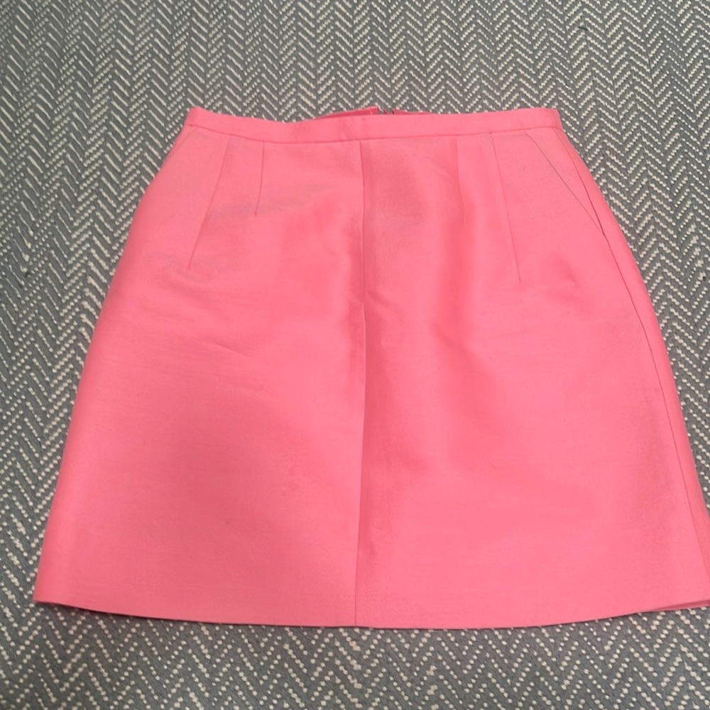 JCrew skirt